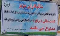 اطلاعیه ممنوعیت کشت برنج در شهرستان مانه قابل توجه شالیکاران محترم شهرستان مانه